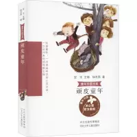 醉染图书顽皮童年9787559526625