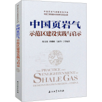 醉染图书中国页岩气示范区建设实践与启示9787518343805