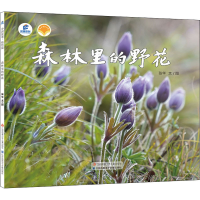 醉染图书森林里的野花9787558424489