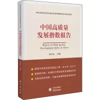 醉染图书中国高质量发展指数报告9787519906153
