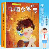 醉染图书中国少年的梦/董宏猷梦想精品集9787305163340