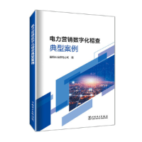 醉染图书电力营销数字化稽查典型案例9787519865313
