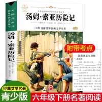 醉染图书汤姆·索亚历险记97875474051