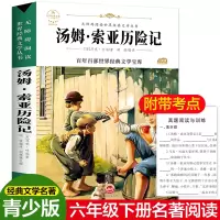 醉染图书汤姆·索亚历险记97875474051