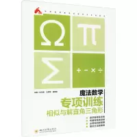 醉染图书魔法数学 专项训练 相似与解直角三角形9787569040418