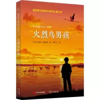 醉染图书火烈鸟男孩9787514390780