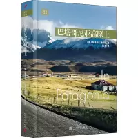 醉染图书巴塔哥尼亚高原上9787020174072