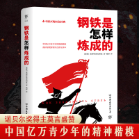 醉染图书钢铁是怎样炼成的9787505738485