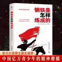 醉染图书钢铁是怎样炼成的9787505738485