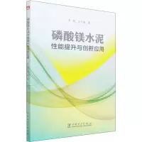 醉染图书磷酸镁水泥能提升与创新应用9787519860691