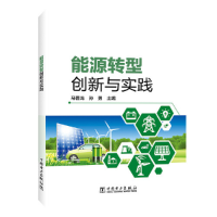 醉染图书能源转型创新与实践9787519862503