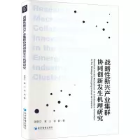 醉染图书战略新兴产业集群协同创新发生机理研究9787509684146