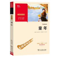 醉染图书童年 彩插励志版97871001862