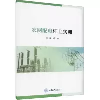 醉染图书农网配电杆上实训9787568926249
