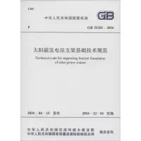 醉染图书太阳能发电站支架基础技术规范9158024292800