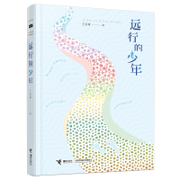 醉染图书远行的少年9787544866453