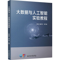 醉染图书大数据与人工智能实验教程9787301328910