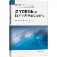 醉染图书煤与瓦斯突出及其防控物理模拟试验研究9787564646868