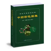 醉染图书彩色图集9787519285326