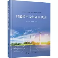 醉染图书储能技术发展及路线图9787124400