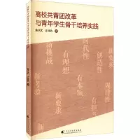 醉染图书高校共青团改革与青年学生骨干培养实践9787536171268