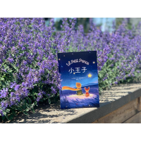 醉染图书小王子9787547059630