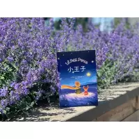 醉染图书小王子9787547059630