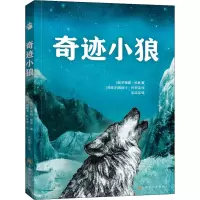 醉染图书奇迹小狼9787553524726