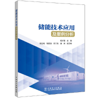 醉染图书储能技术应用及案例分析9787519868406