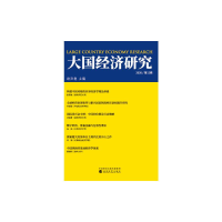 醉染图书大国经济研究2020(2辑)9787521827873