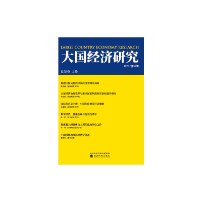 醉染图书大国经济研究2020(2辑)9787521827873