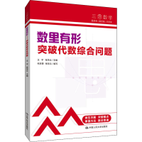 醉染图书数里有形 突破代数综合问题9787300301426