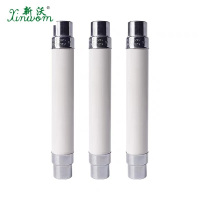 新沃 XINWOM 保险管 RN2-35/1A 根