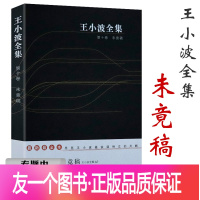 [正版]选4本39元 王小波全集 现当代文学书籍杂文精选集随笔散文书集另著有寻找无双红拂夜奔