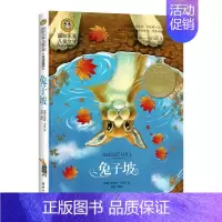 兔子坡 [正版]国际大奖儿童文学小说全套35册 中国儿童文学小学生课外阅读书籍3-6年级三四五六年级课外书必读青鸟书 父