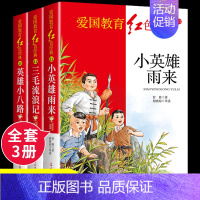 [全3册]小英雄雨来+三毛流浪记+英雄小八路 [正版]地道战 抗日英雄人物的故事 红色经典书籍小学生儿童爱国主义革命教育