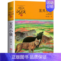 五只小狼 [正版]沈石溪动物小说品藏书系列 全集36册 狼王梦斑羚飞渡第七条猎狗后一头战象雪豹悲歌混血豺王珍藏版十大经典