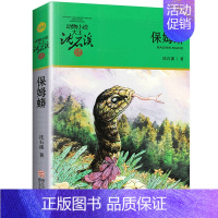 保姆蟒 [正版]沈石溪动物小说品藏书系列 全集36册 狼王梦斑羚飞渡第七条猎狗后一头战象雪豹悲歌混血豺王珍藏版十大经典必