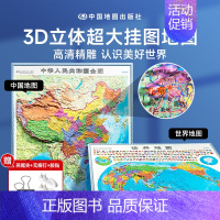 [正版]时光学中国地图世界地图3D立体地图高清精雕超大凹槽挂图地图初中高中小学生通用凹凸竖版立体地图挂图地理百科 学生地