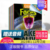 [2023整年9期预订]1-12月刊/每期快递 [正版]打包订购/带部分音频美国儿童读物 Faces 面对2023年世界