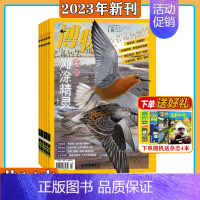 [送4本共14本]2023年1-10月打包 [正版]2023年1-10月送礼品全年/半年订阅博物 杂志2024年1-12