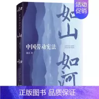 [正版] 如山如河 中国劳动 阎天 中国劳动创新意义学术发展价值 平等就业民主管理按劳分配劳动纪律保护 北京