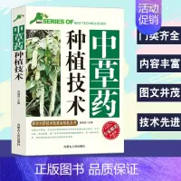 [正版]中草药种植技术新农村新技术致富金钥匙丛书专家权威版草本药用植物根茎类中草药全草类花类果实种子生长环境和条件栽培技