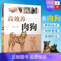 [正版]高效养肉狗 养狗书籍 养狗技术大全书籍 肉狗养殖教程技术书 肉狗场的建设选址 肉狗的饲养管理 肉狗疾病防治 肉狗