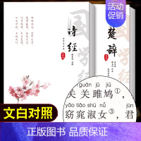 [正版]诗经楚辞全集注音完整版 原文译文注释注析评析 诗经风雅颂全集原著无删减小学生楚辞全集离骚诗经楚辞取名中国古诗词诗