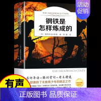 钢铁是怎样炼成的 [正版]世界名著任选全套62册 外国经典文学 初中生高中生阅读课外书四大名著老师小说书排行榜小王子