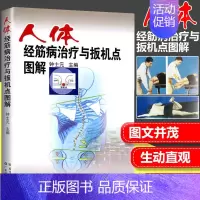 [正版]人体经筋病与扳机点图解 钟士元 广东科技出版社 肌筋膜经筋疗法书籍 经筋病灶肌筋膜链 脊柱保健理筋 中医书籍中医