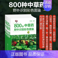 [正版]800种中草药野外识别彩色图鉴 中草药识别特征分布生境药用功效 中草药识别书籍中草药鉴定书籍 化学工业出版社