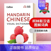 柯林斯汉语图解词典 [正版]柯林斯英语视觉词典 英文原版 Collins English Visual Dictiona