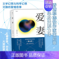 [正版] 爱妻 董启章 香港作家华文文学 脱离了肉体爱情还存在吗 两性言情小说书籍